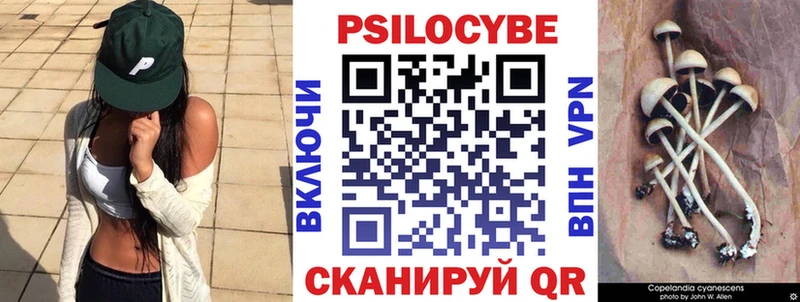 MEGA ССЫЛКА  Болотное  Галлюциногенные грибы Magic Shrooms 